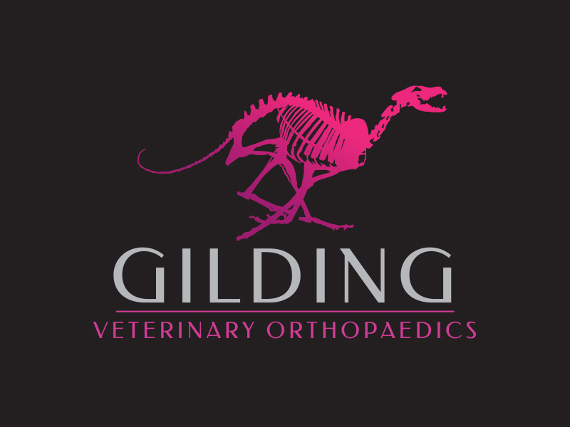 Gilding vet brand design, Greensplash Design.